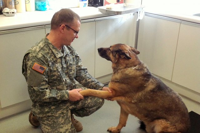 Dogs often play a crucial role in assisting our servicemembers. Photo Credit: US Army.