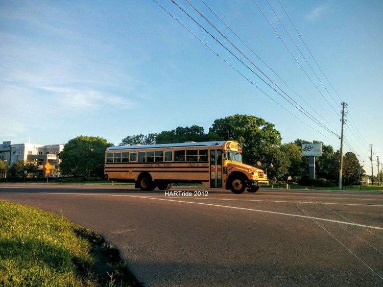 13340854_1242186942459529_231546219_o(1)