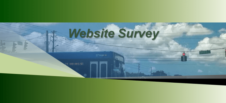 Website Survey 1