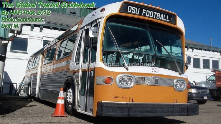 imageedit_1_3939168136